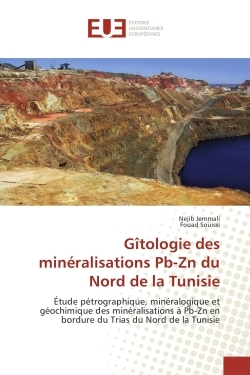 Gîtologie des mineralisations Pb-Zn du Nord de la Tunisie