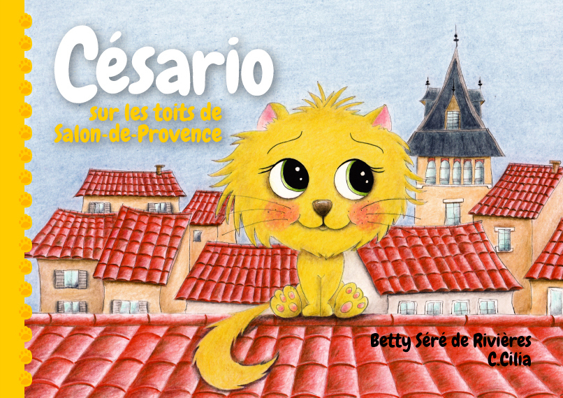 Césario sur les toits de Salon-de-Provence