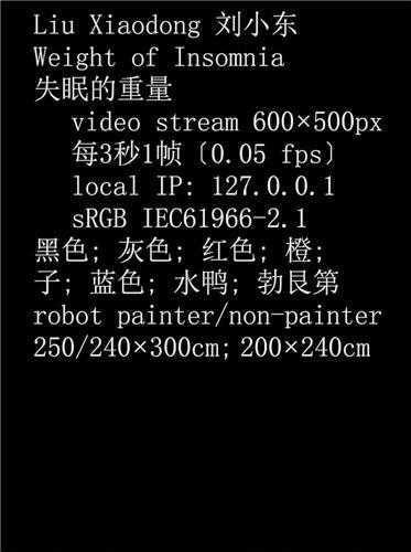 Liu Xiaodong: Weight Of Insomnia /anglais