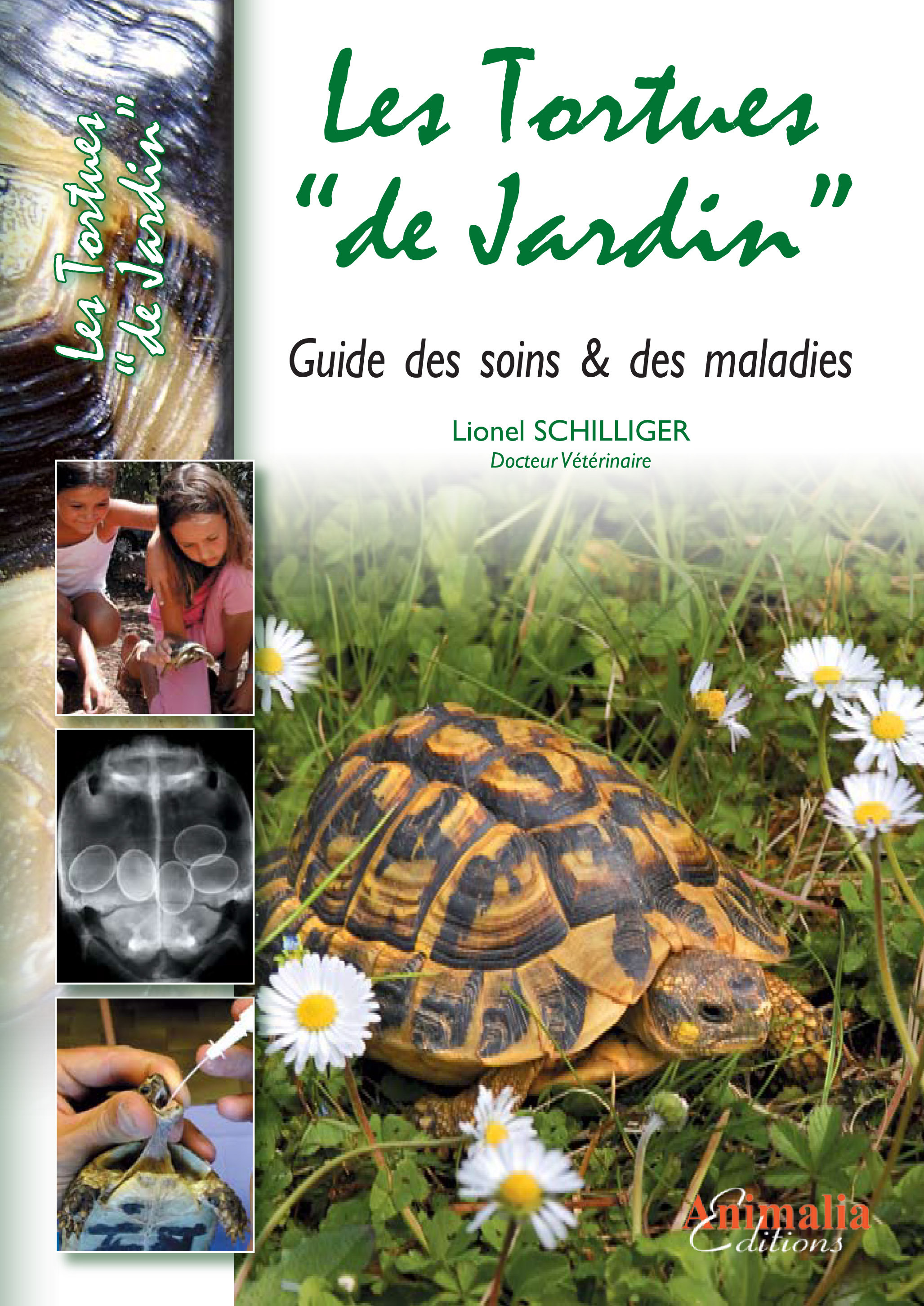 Les Tortues De Jardin Maladies