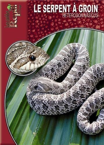 Le serpent à groin - heterodon nasicus