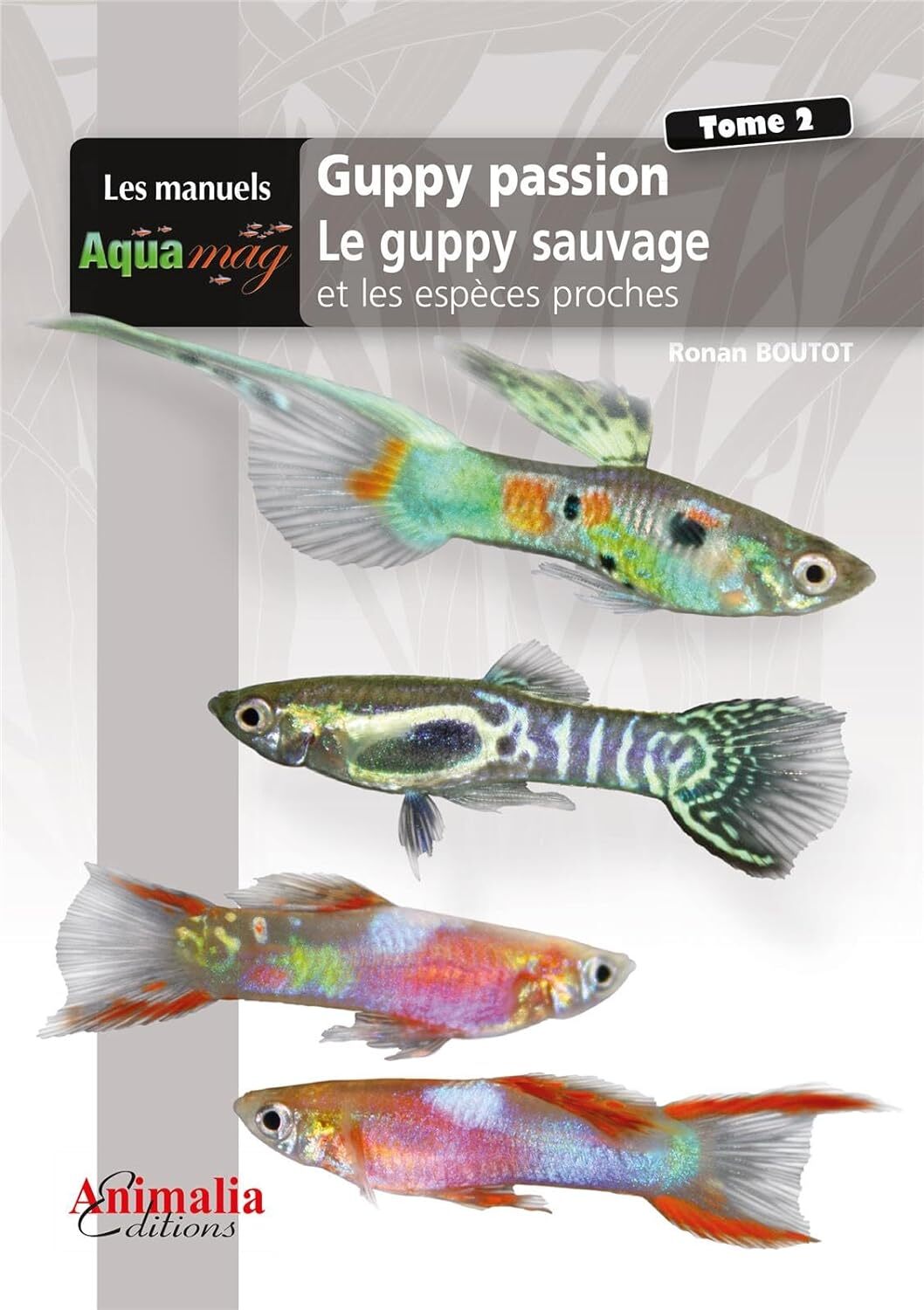 Le guppy sauvage et les espèces proches