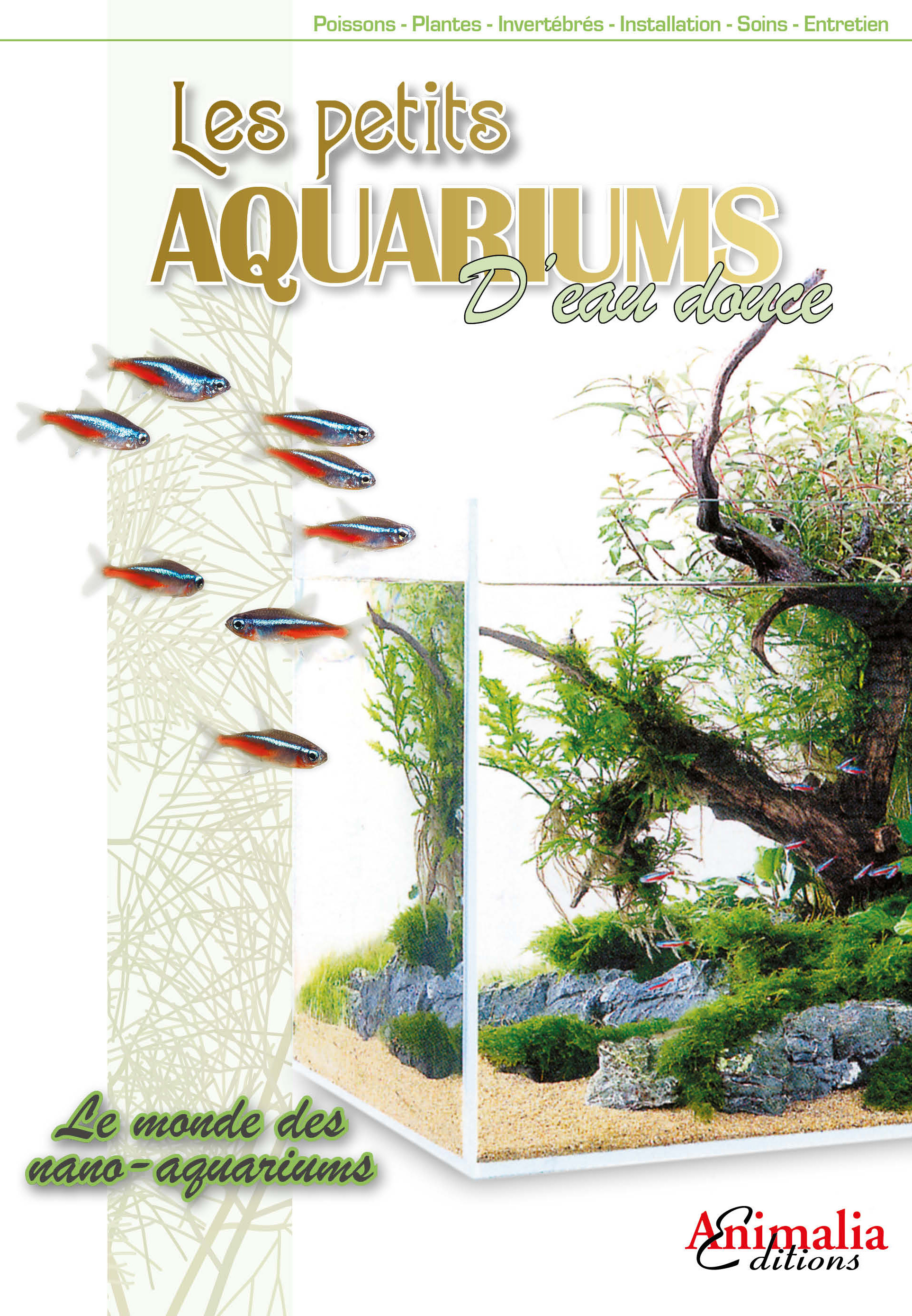 Les petits aquariums d'eau douce - le monde des nano-aquariums...