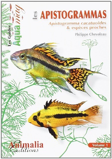 Les apistogrammas - apistogramma cacatuoides & espèces proches