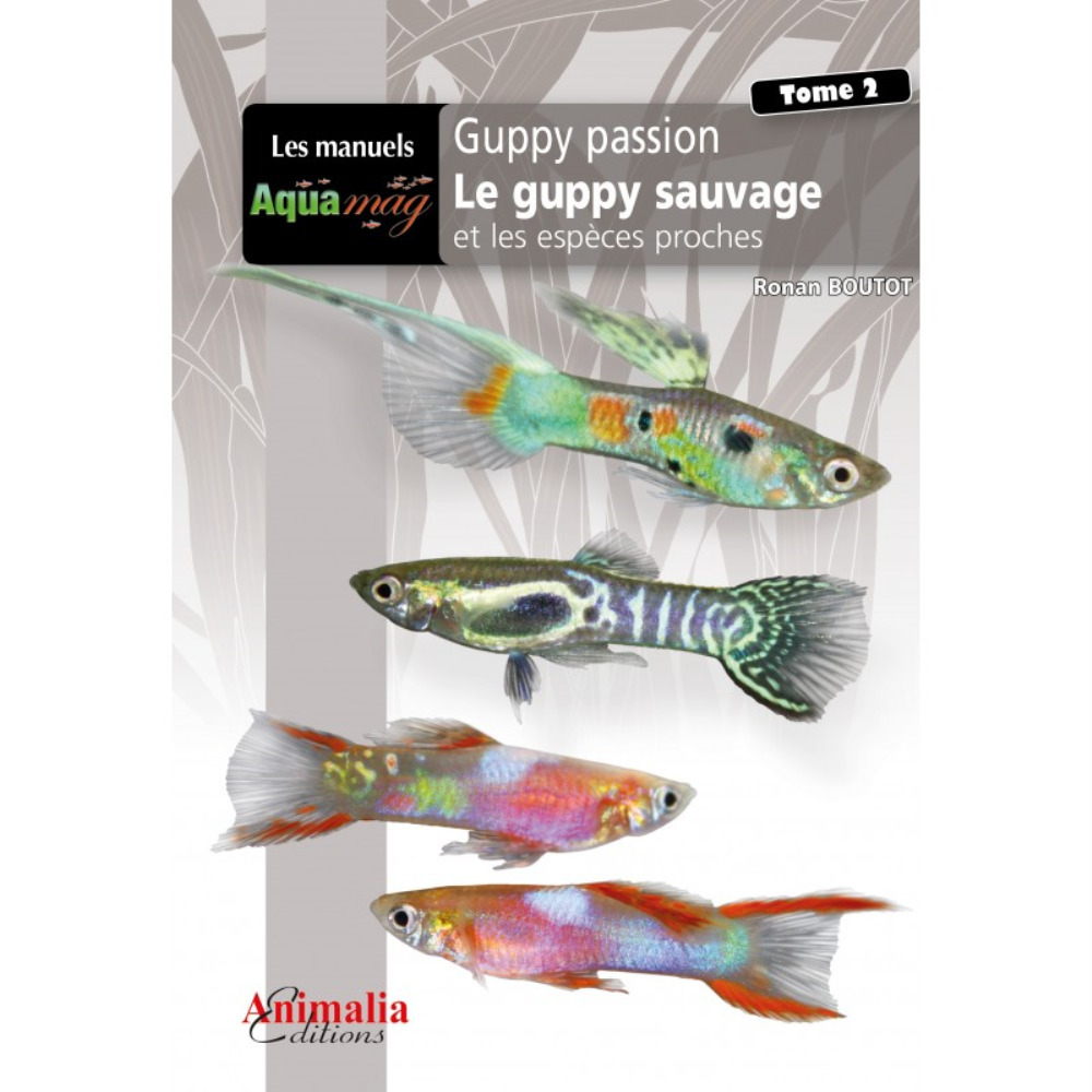 Guppy passion - Le guppy sauvage et les espèces proches