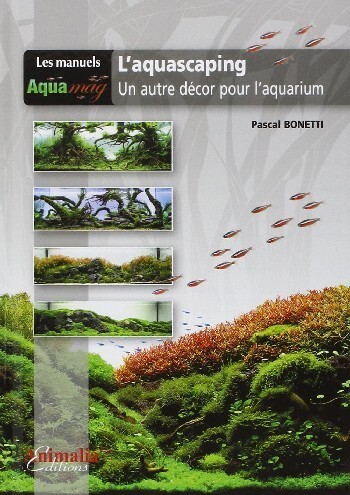 L'aquascaping - un autre décor pour l'aquarium