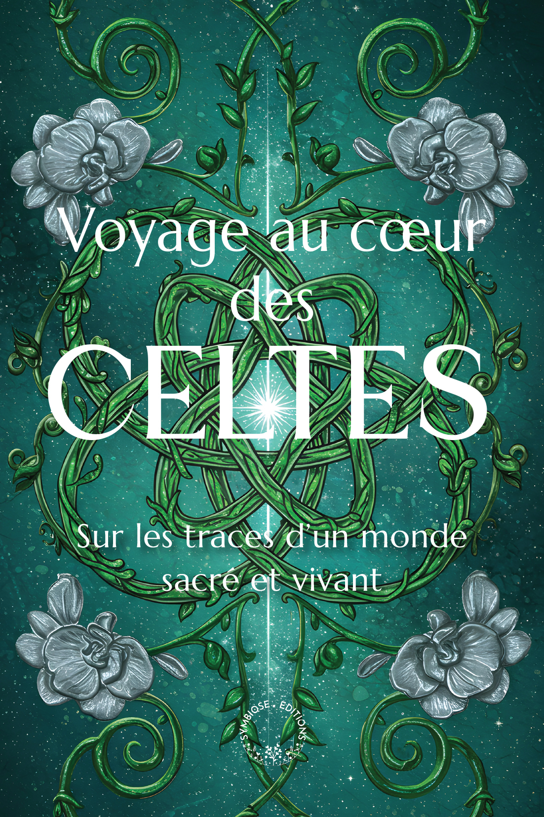 Voyage au coeur des Celtes 
