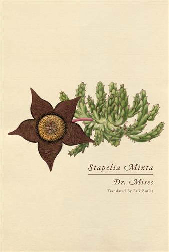 Dr. Mises Stapelia Mixta /anglais