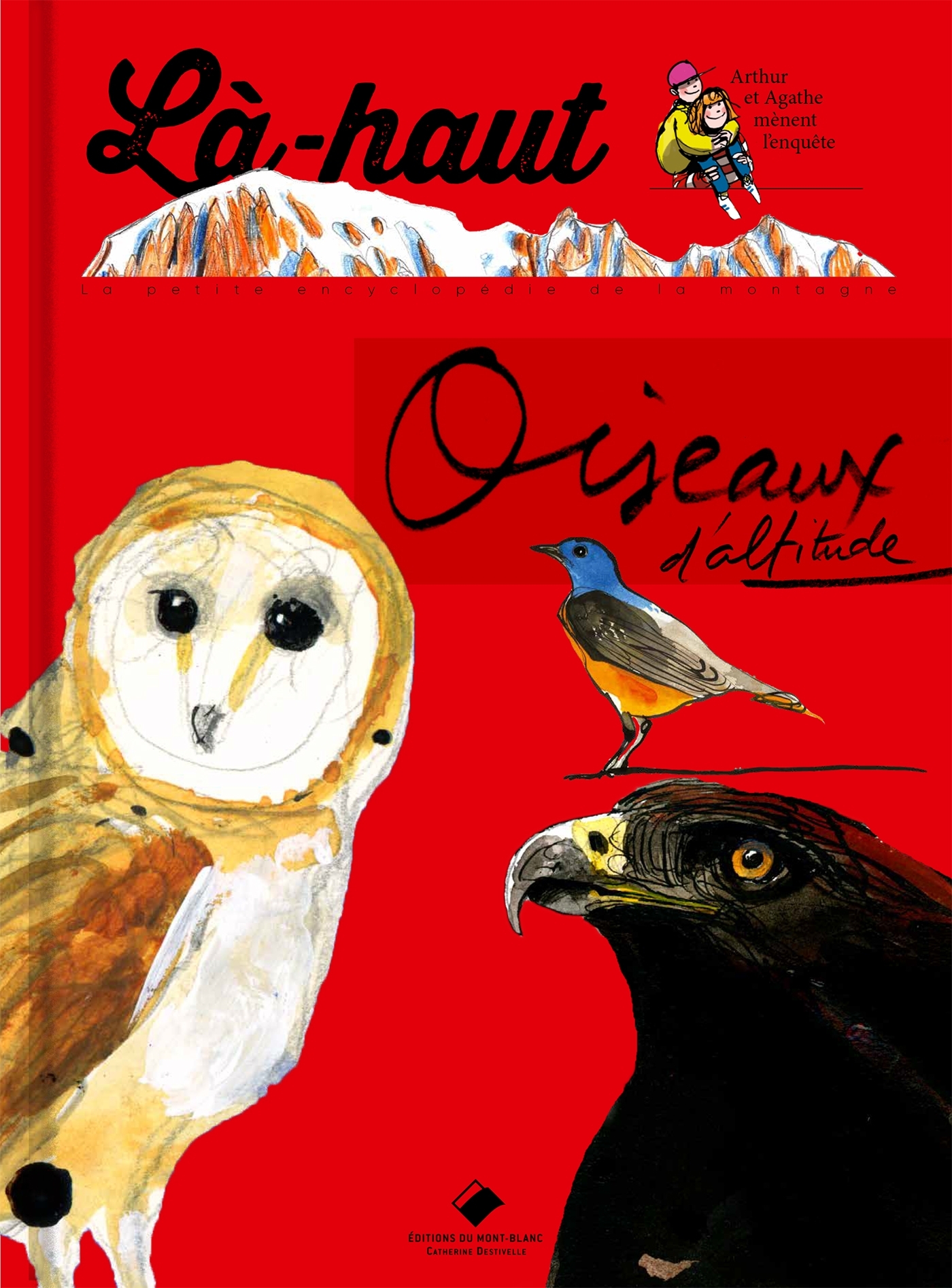 Là-haut, oiseaux d'altitude