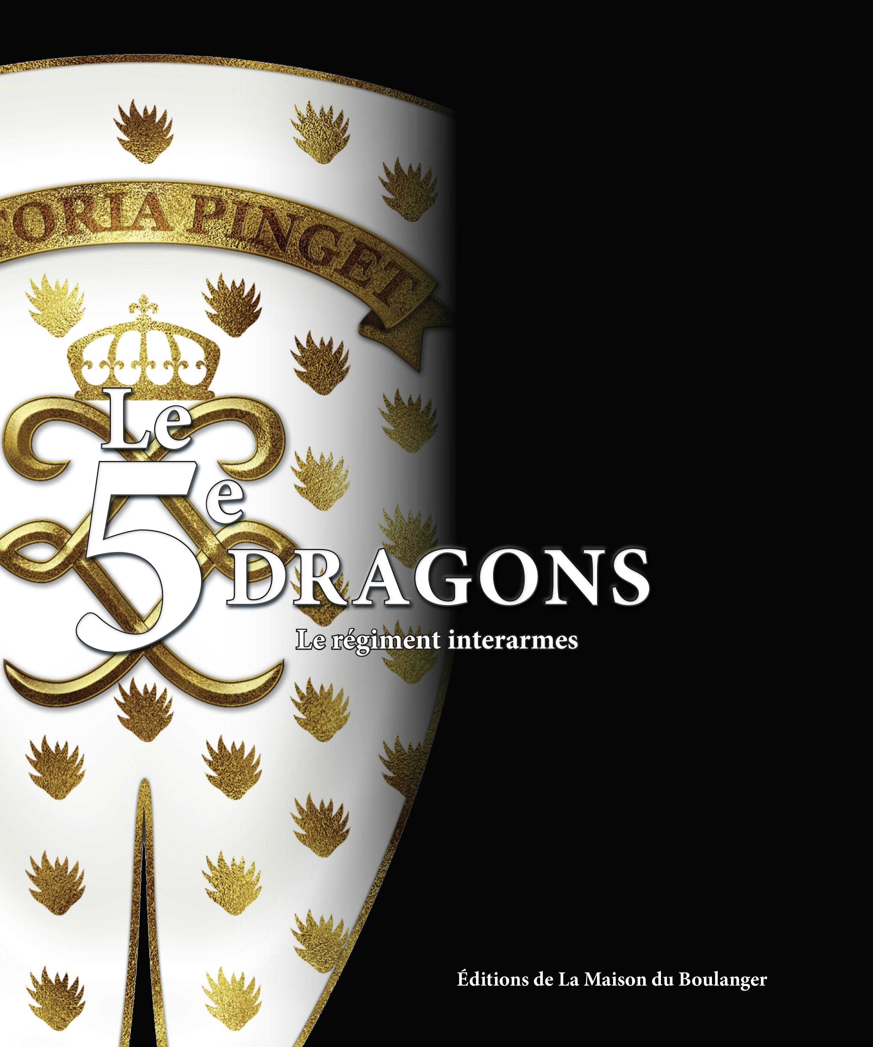 LE 5E DRAGONS - Le régiment interarmes