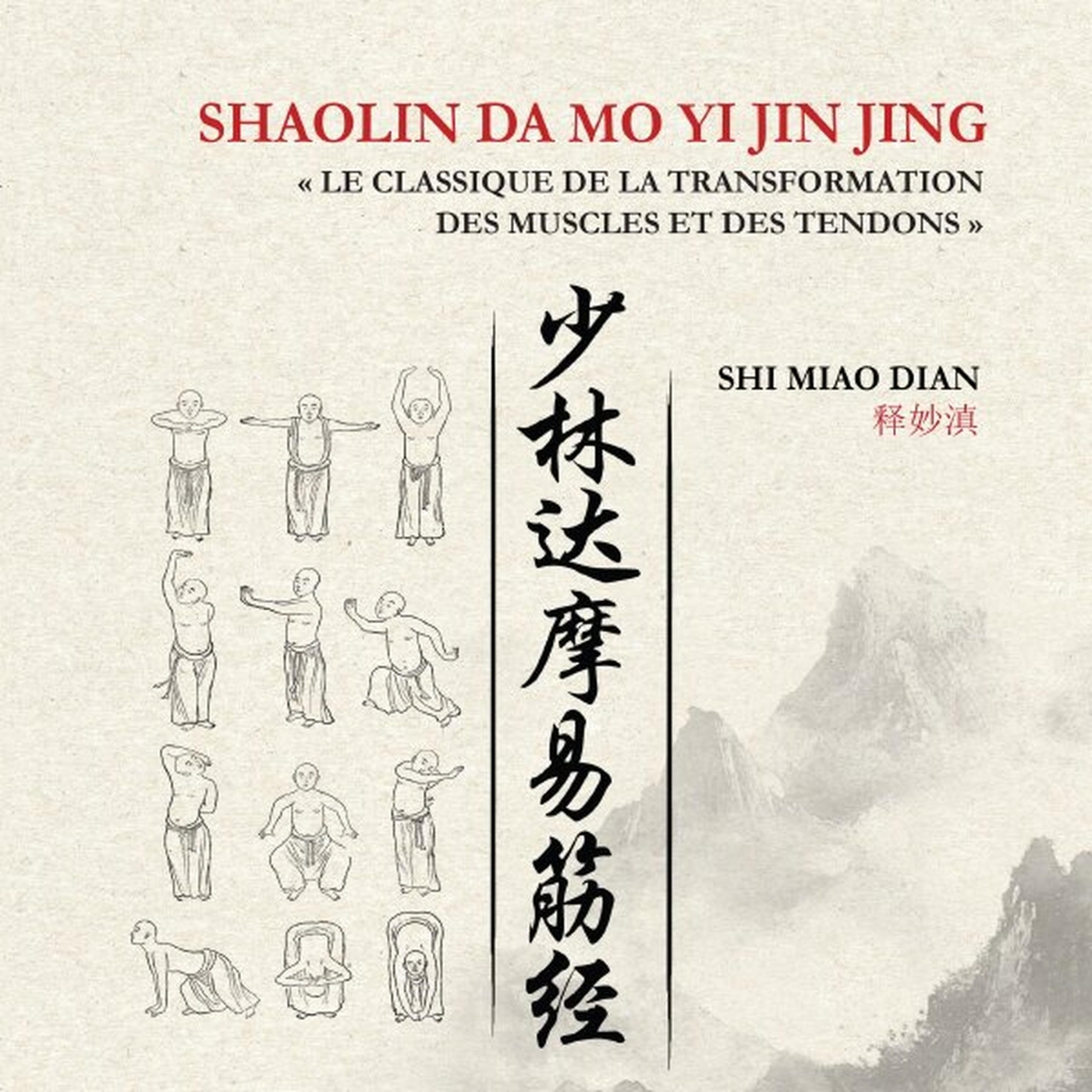 SHAOLIN DA MO YI JI JING