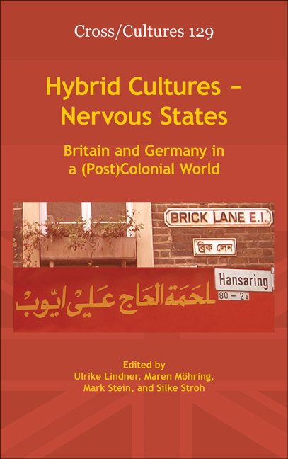 HYBRID CULTURES - NERVOUS STATES