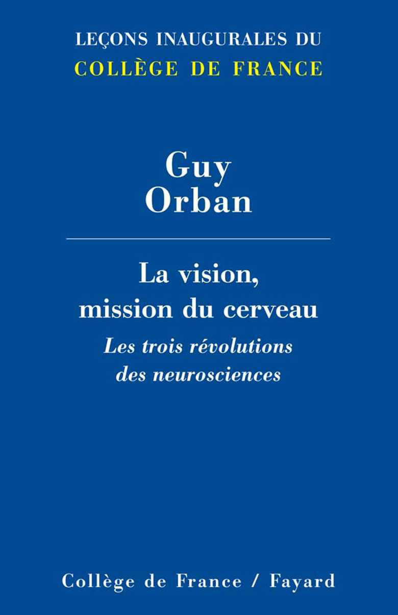 LA VISION, MISSION DU CERVEAU