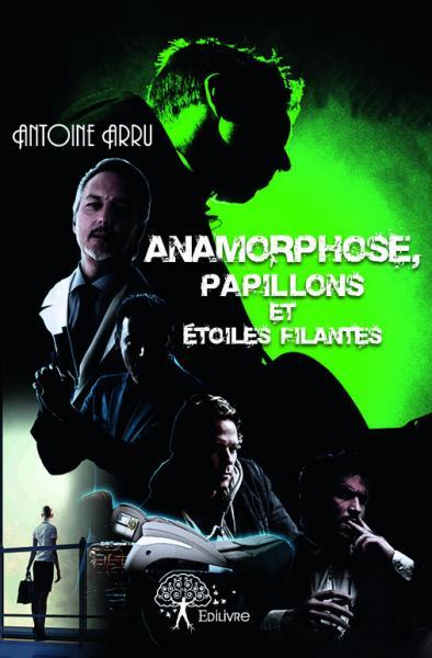 Anamorphose, papillons et étoiles filantes