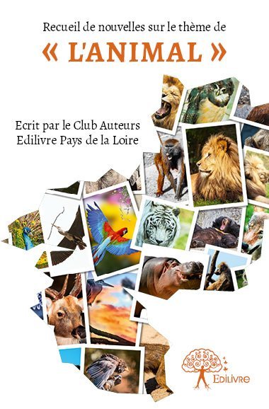 Recueil de nouvelles club auteurs pays de la loire