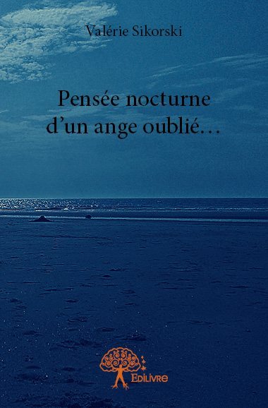 Pensée nocturne  d’un ange oublié…