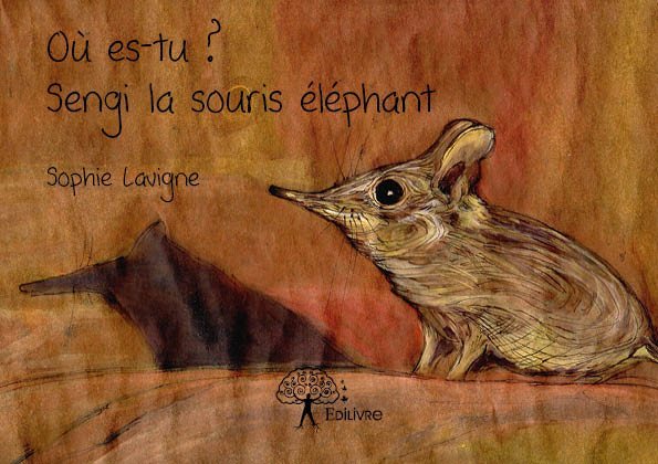 Où es tu ? sengi la souris éléphant
