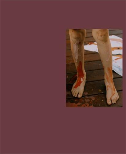 Lisa Sorgini In-passing /anglais