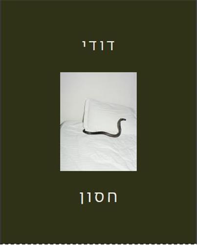 Dudi Hasson As Far As Close /anglais