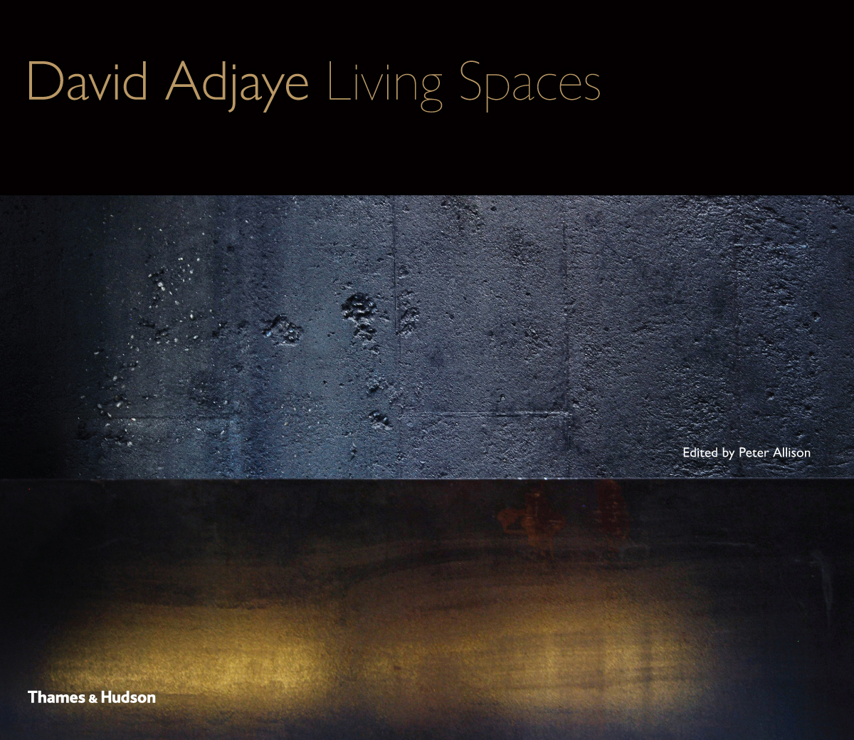 David Adjaye Living Spaces /anglais