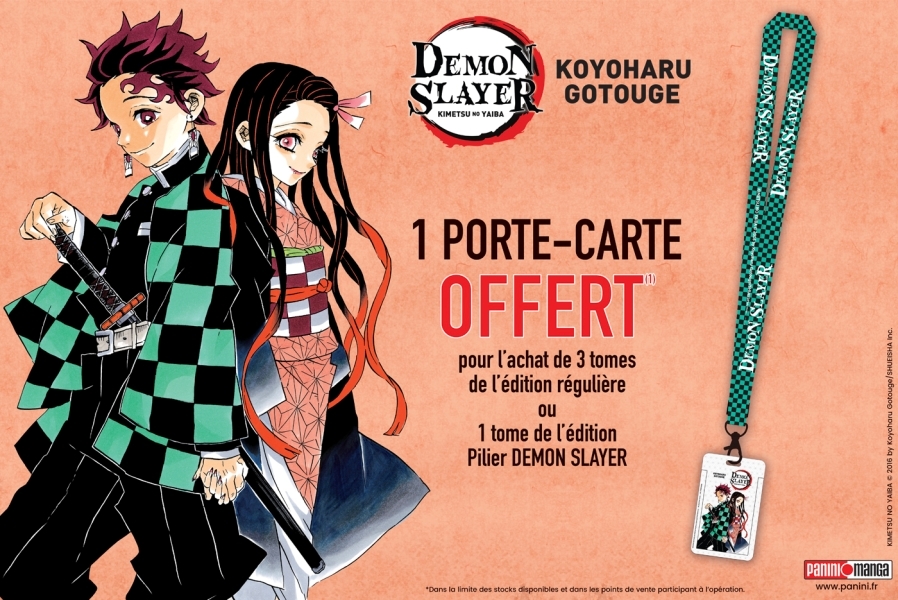 Colis fictif 60 exemplaires - OP Demon Slayer Porte-cartes