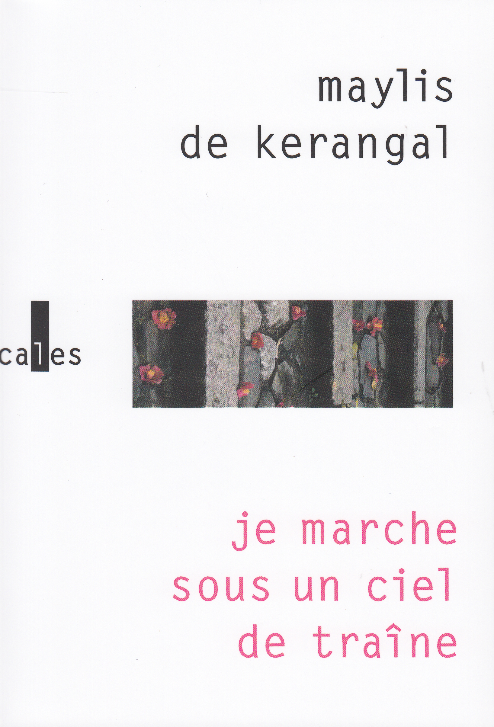 Je marche sous un ciel de traîne