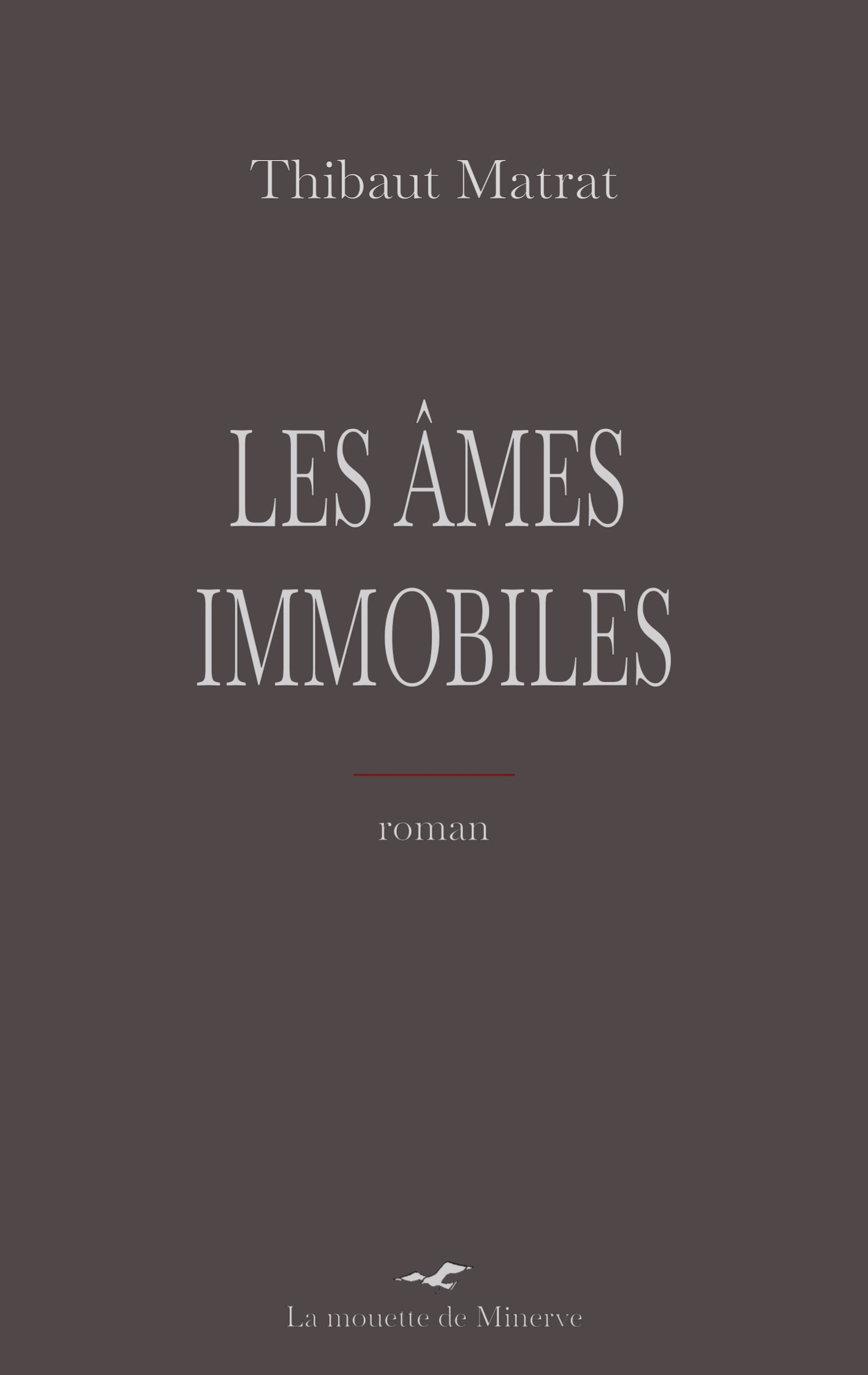 Les Âmes immobiles