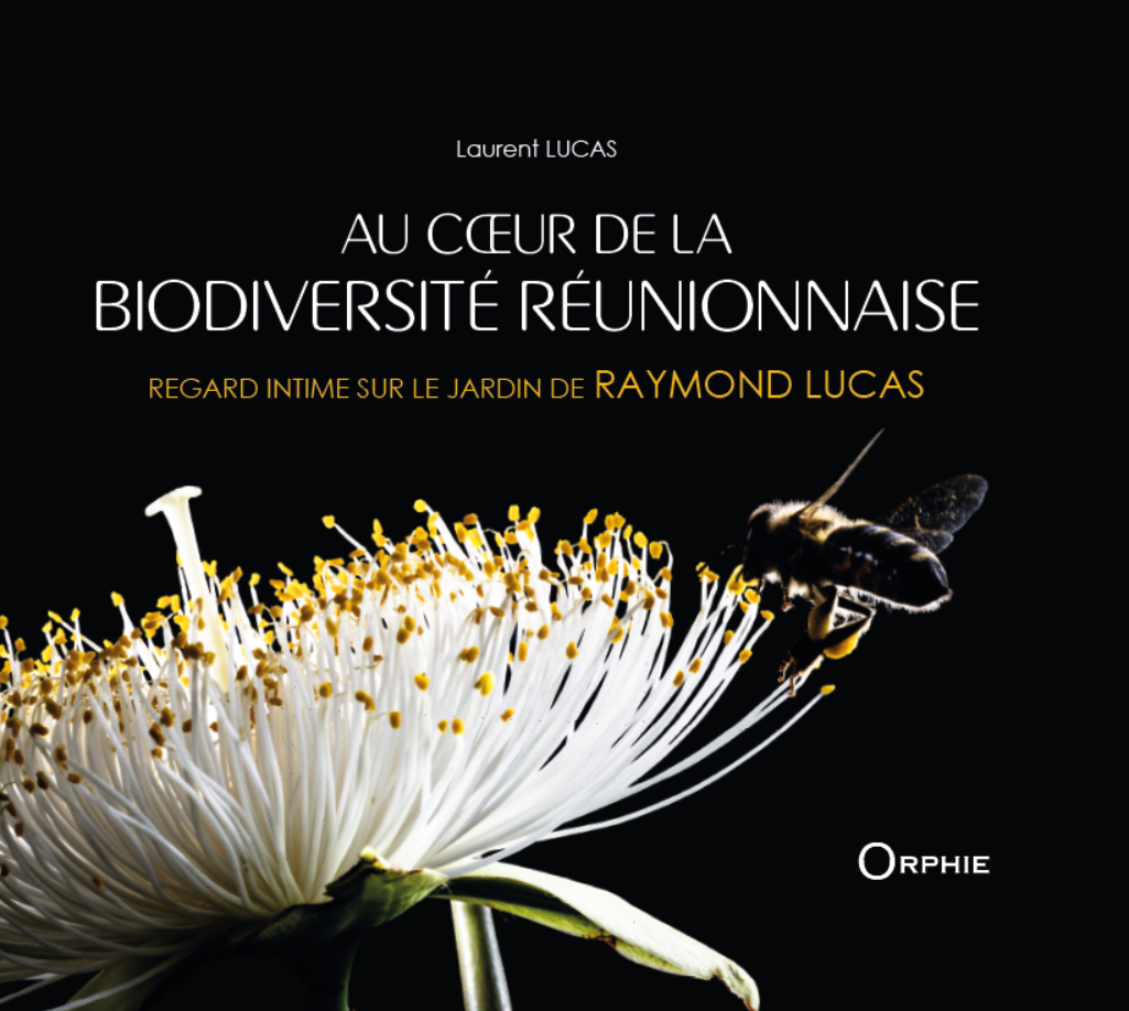 AU C?UR DE LA BIODIVERSITE REUNIONNAISE : REGARD INTIME SUR LE JARDIN DE RAYMOND LUCAS