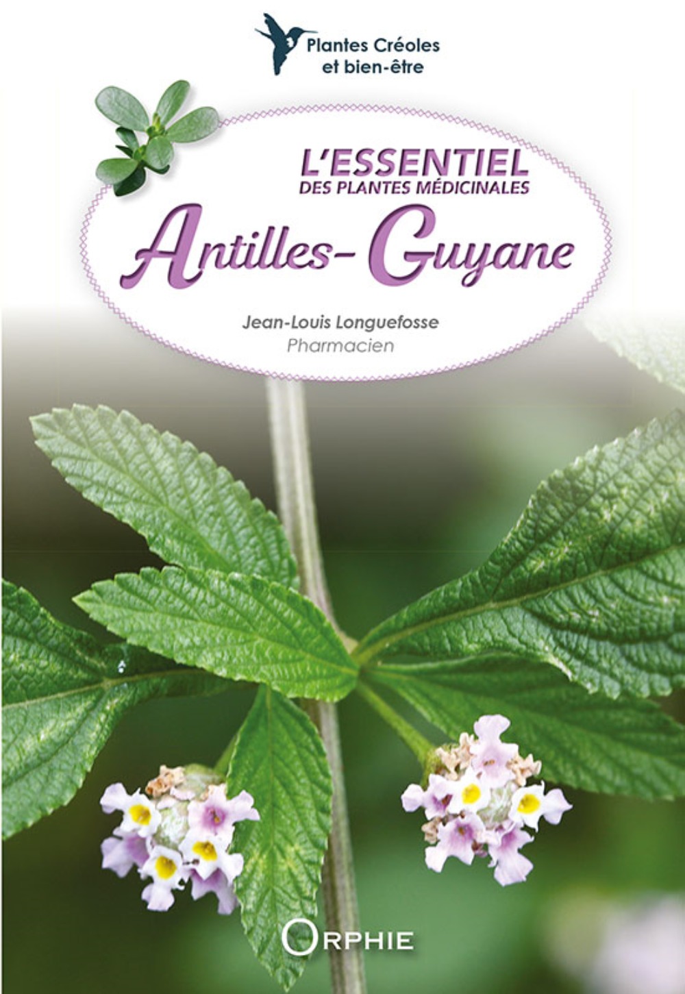 L'essentiel des plantes médicinales Antilles-Guyane