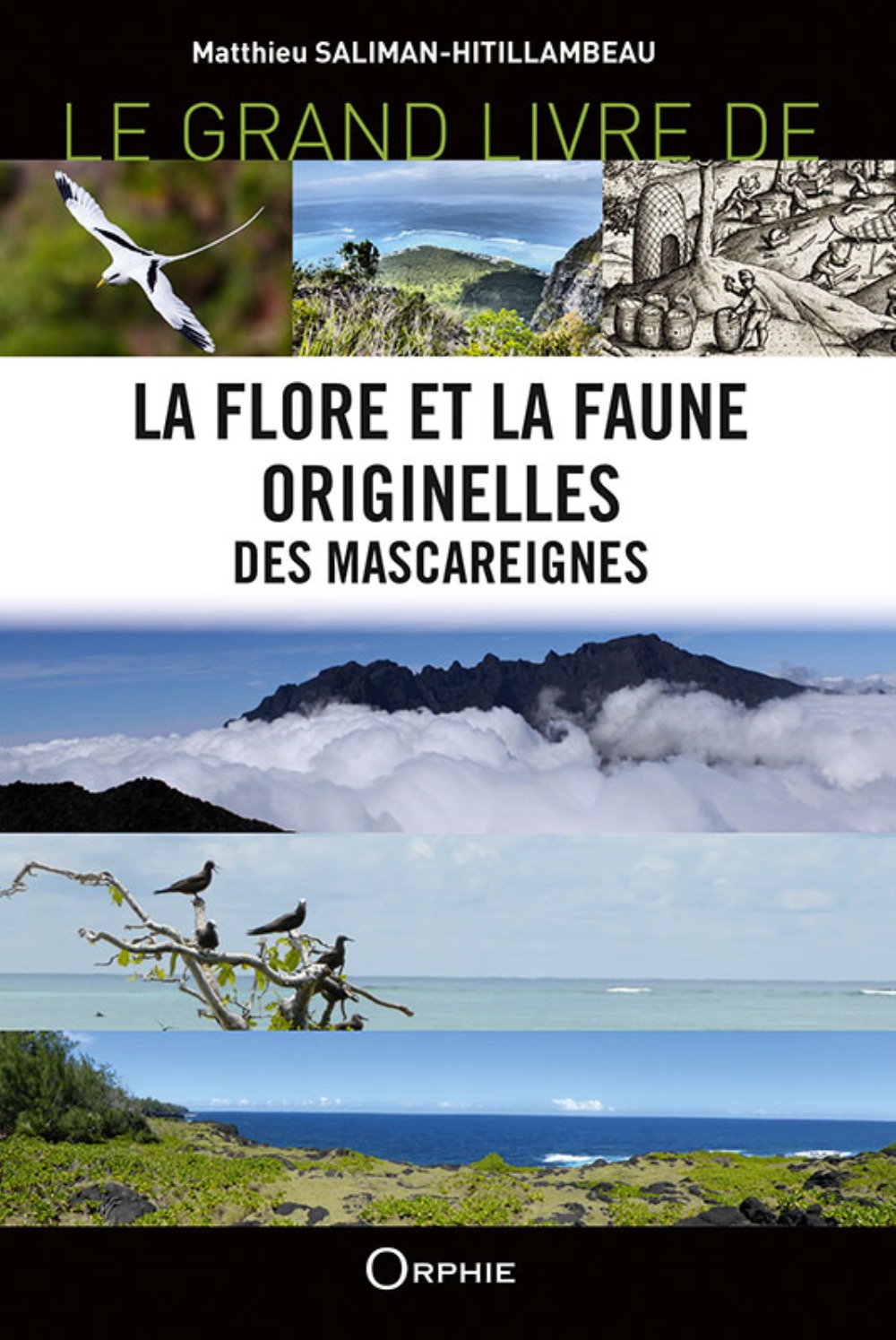 Le grand livre de la flore et la faune originelles des Mascareignes - Réunion-Maurice-Rodrigues