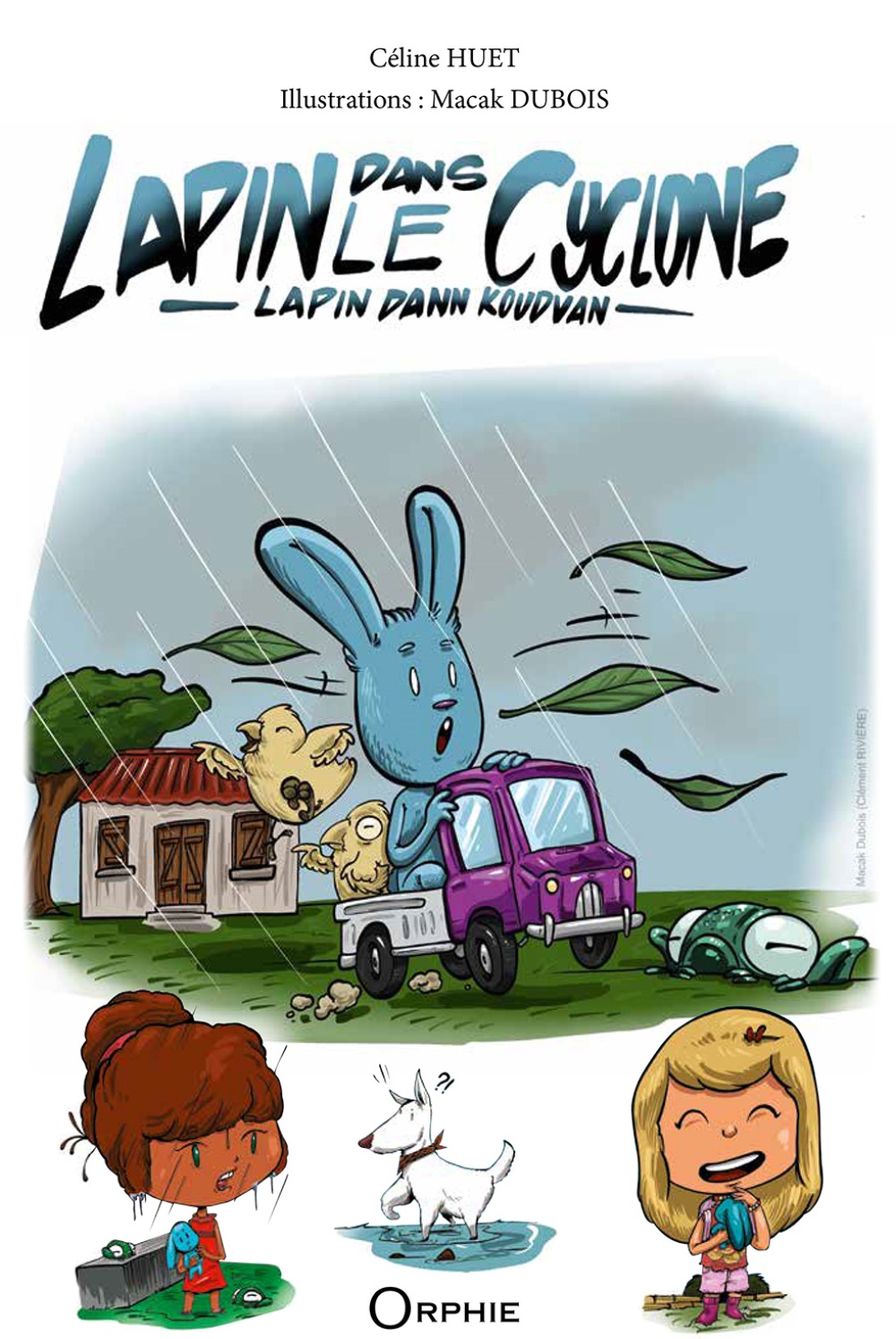 Lapin dans le cyclone