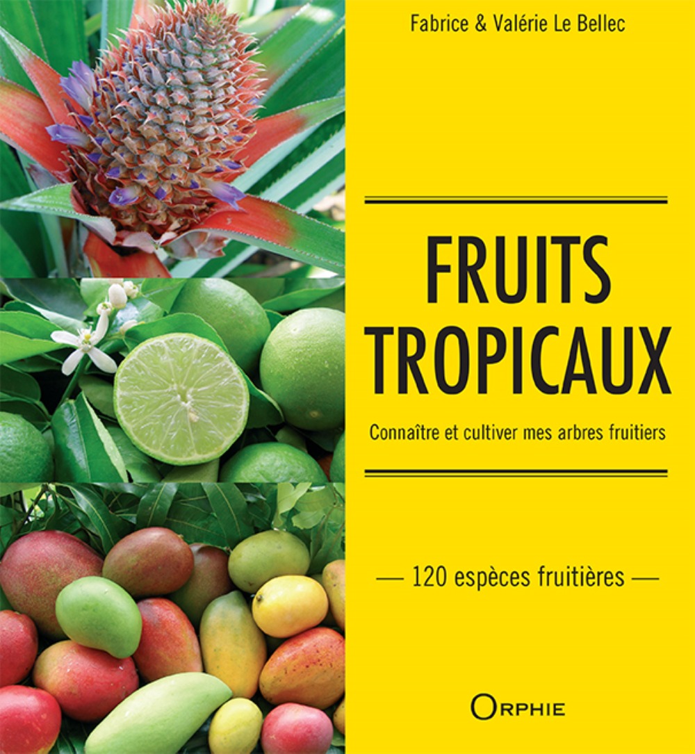 Fruits tropicaux - connaître et cultiver mes arbres fruitiers