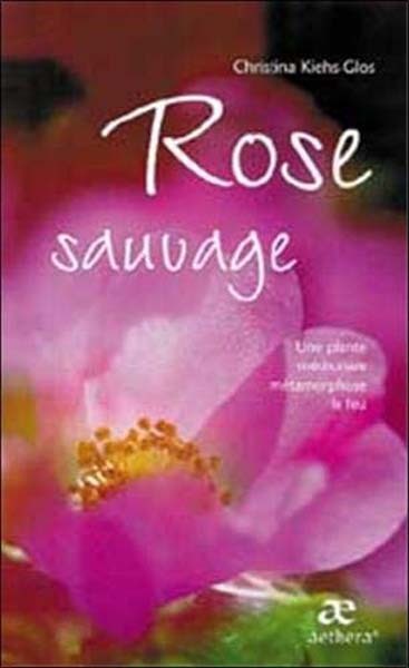 Rose plante sauvage