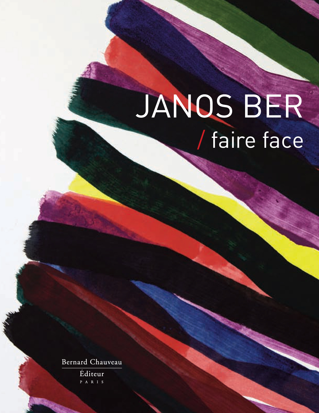 Janos Ber, Faire face - [exposition, Le Cateau-Cambrésis, Musée départemental Matisse, 27 juin-19 septembre 2010, Bignan,
