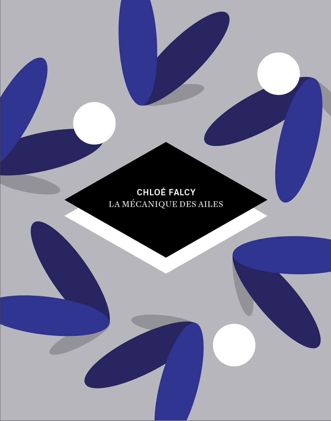 La mécanique des ailes