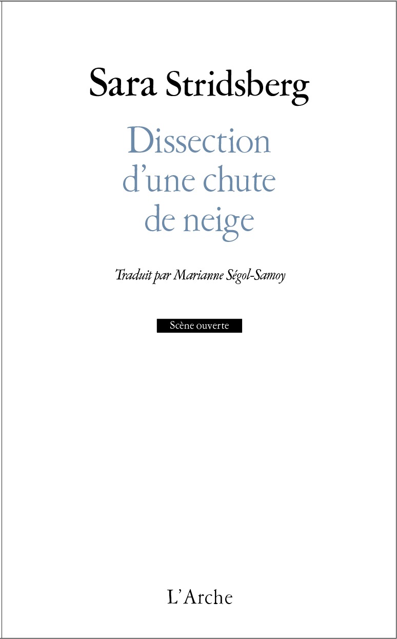 Dissection d'une chute de neige