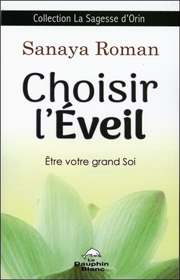 Choisir l'éveil - Etre votre grand Soi