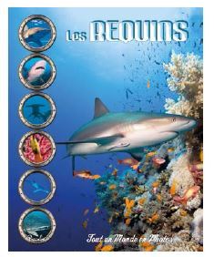 Les requins 