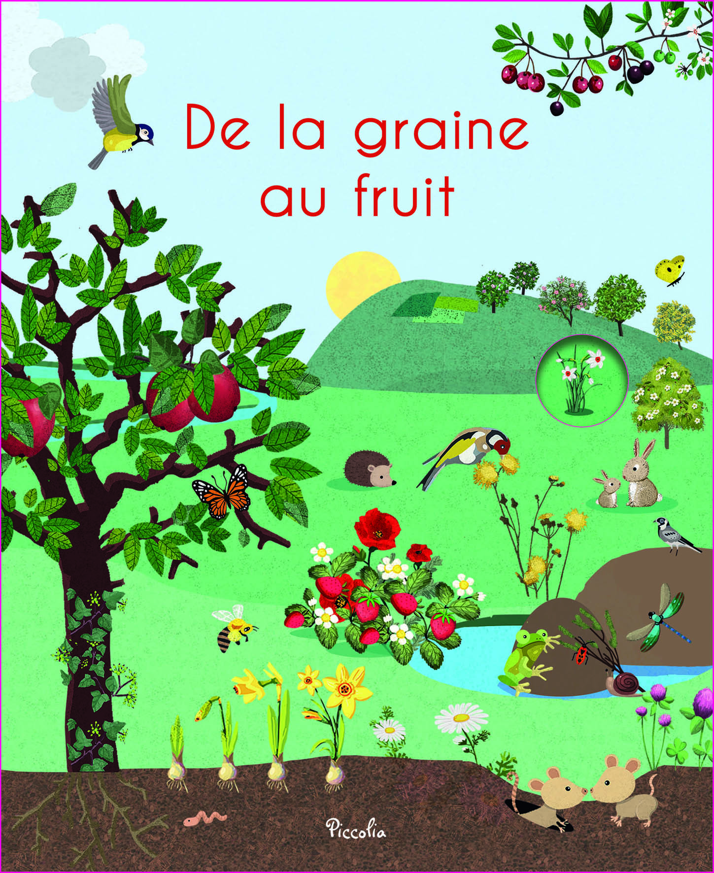 De la graine au fruit 