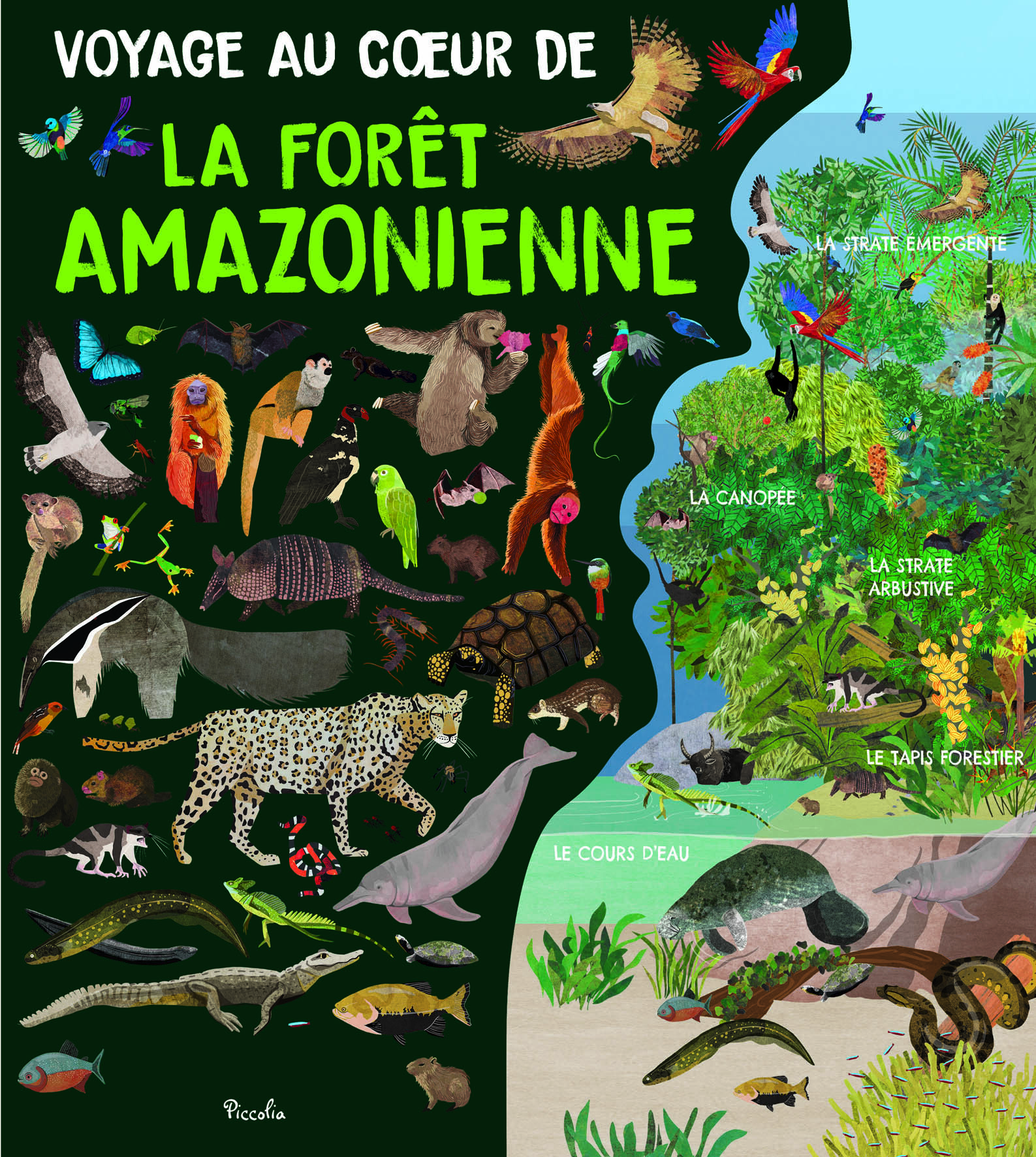 Voyage au cœur de la forêt amazonienne