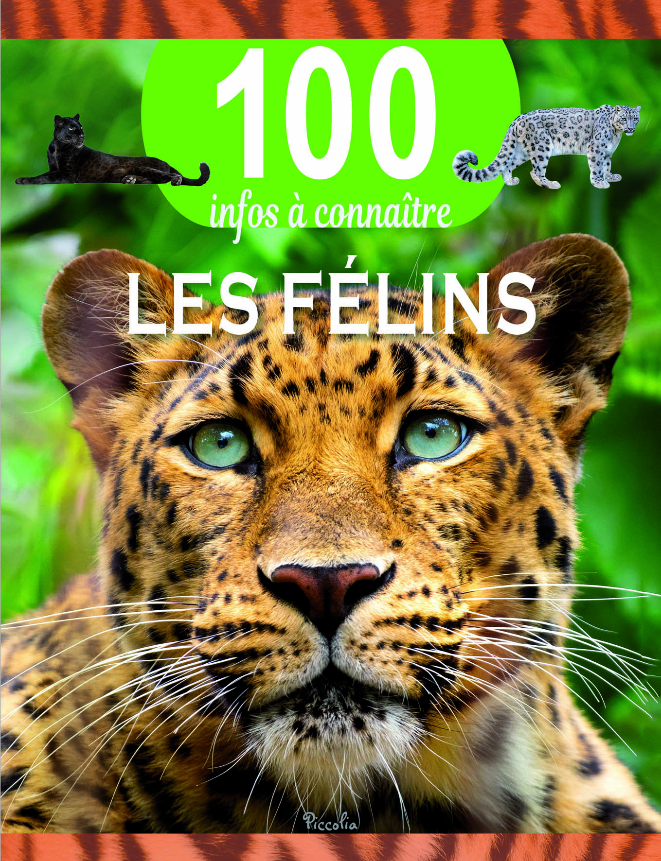 Les félins - 100 infos à connaître