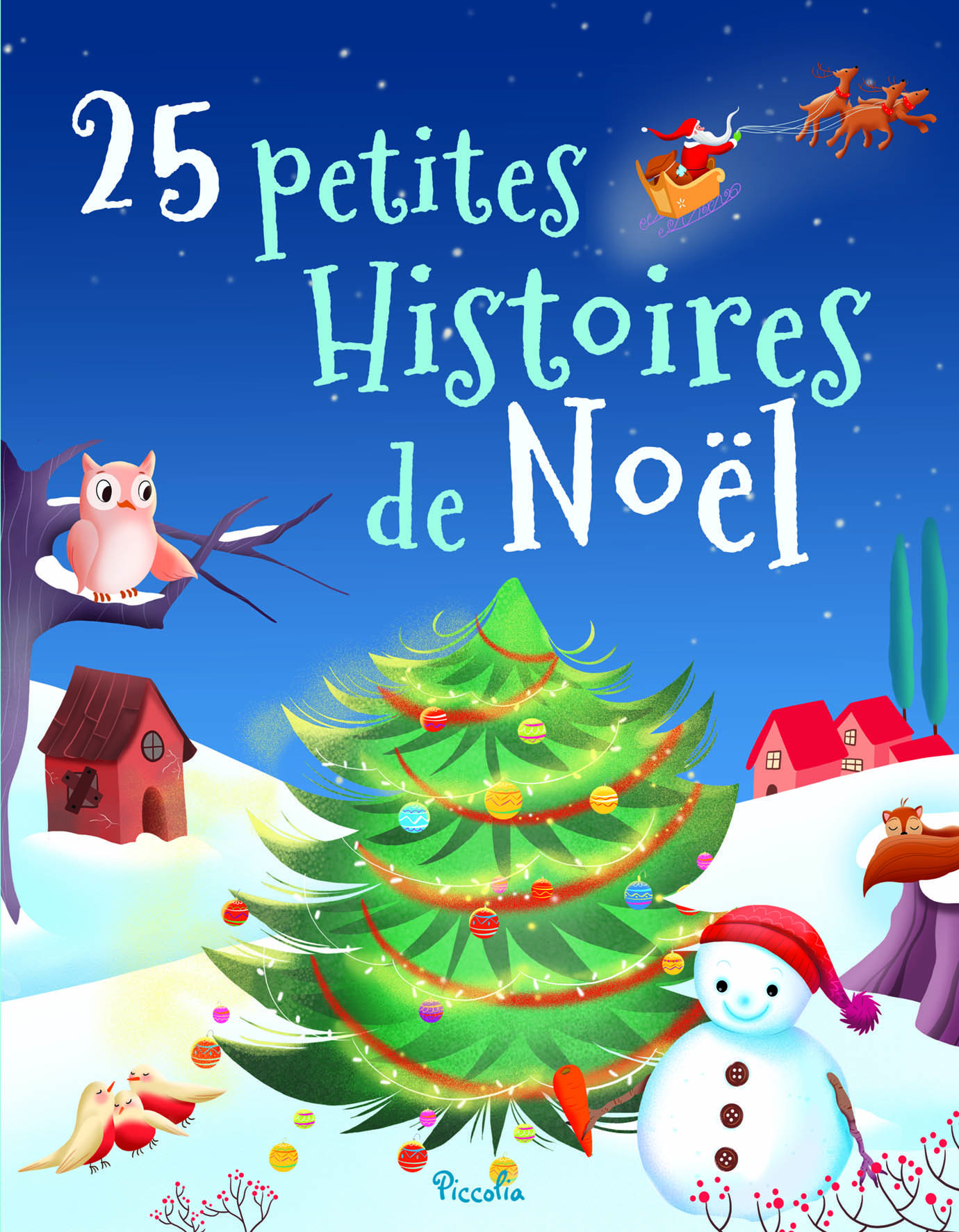 25 petites Histoires de Noel 