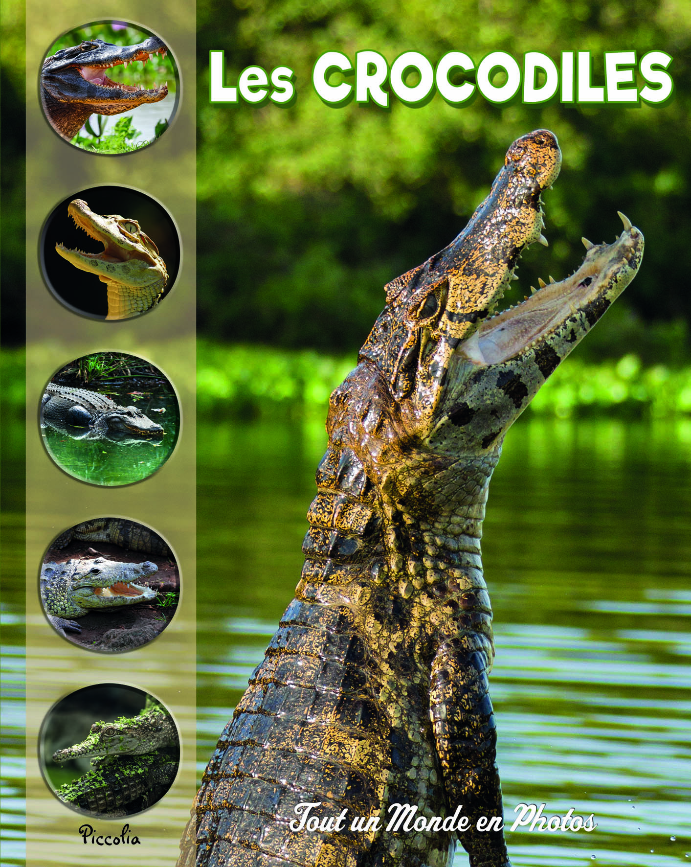 Les crocodiles