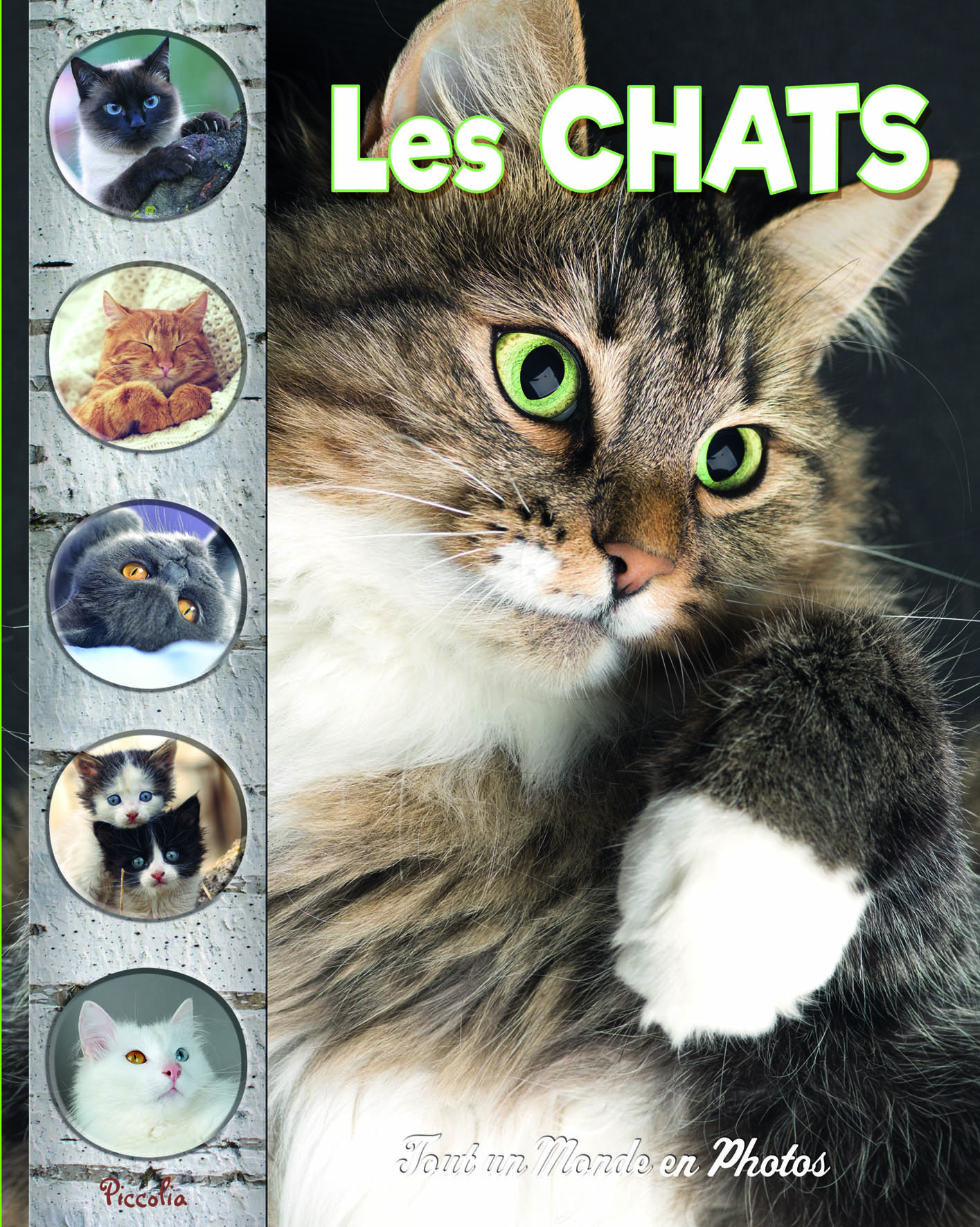Les chats