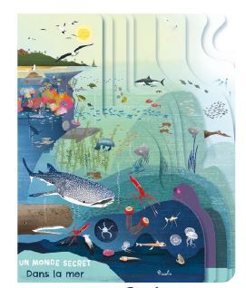 Dans l'océan - Un monde secret
