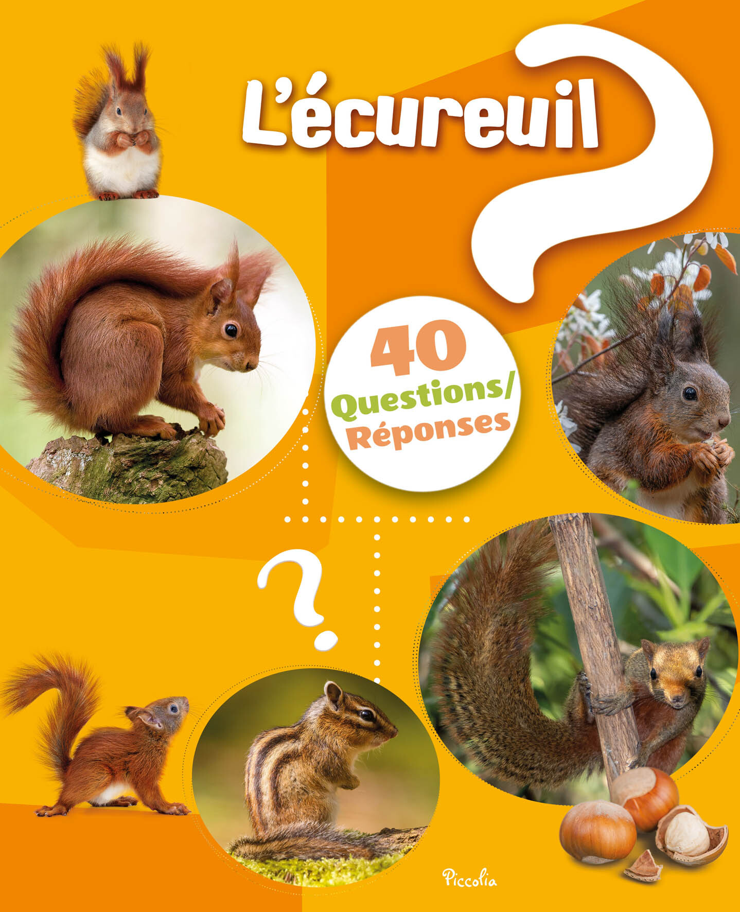 L'écureuil