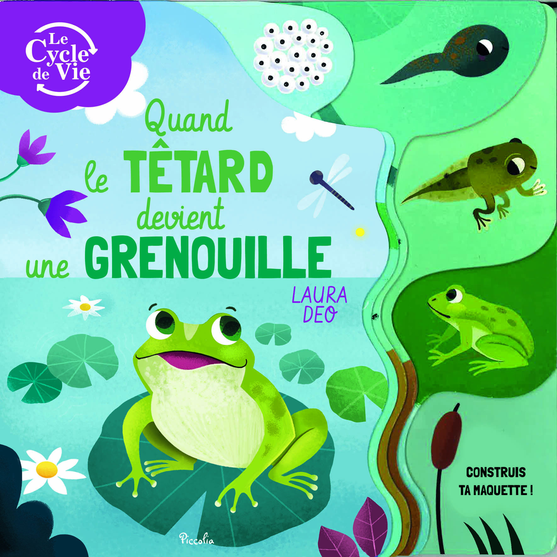 Quand le têtard devient une grenouille