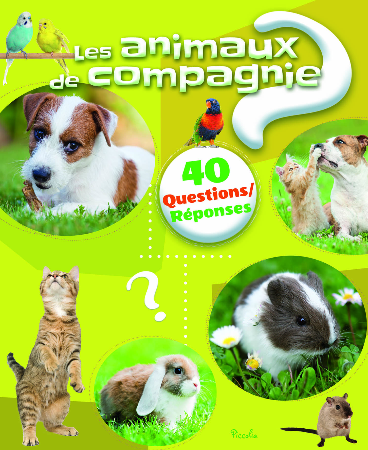 Les animaux de compagnie