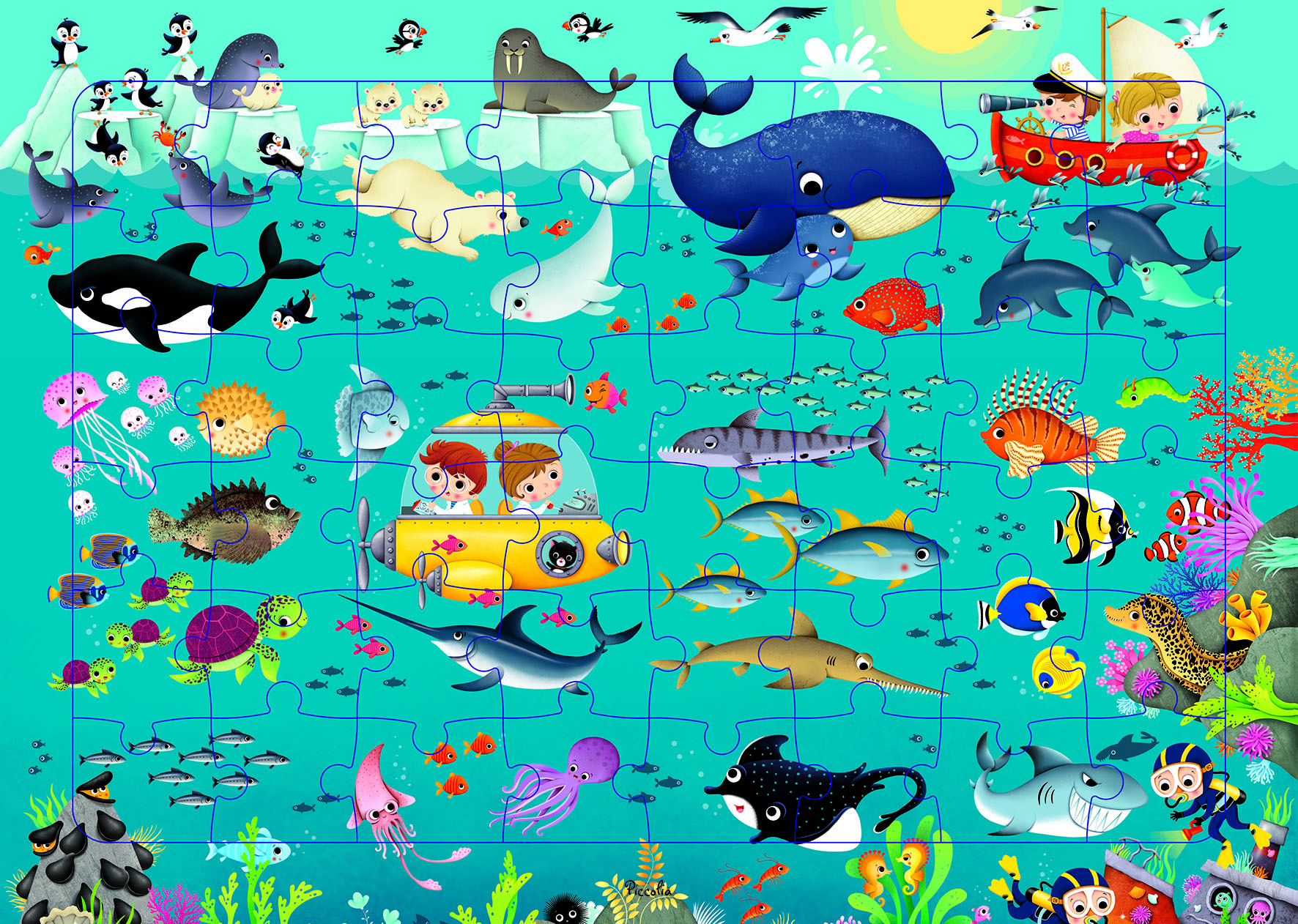 N.1 Animaux des océans