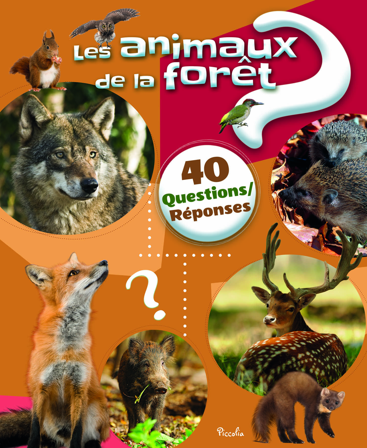 Les animaux de la fôret
